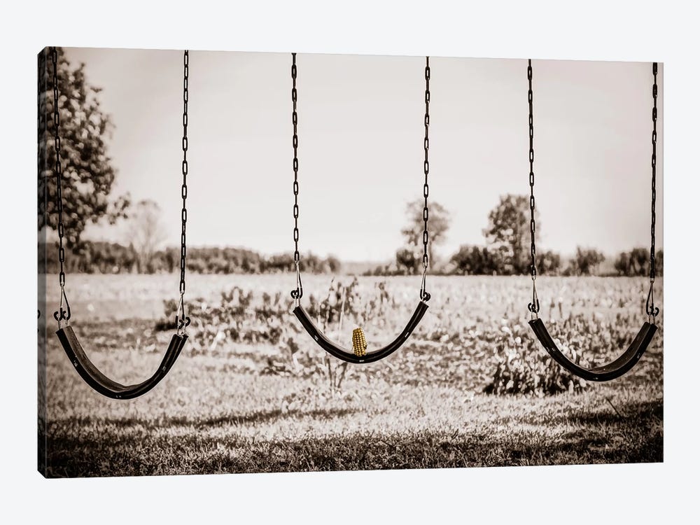 Three Swings by Eric Schech 1-piece Canvas Art Print