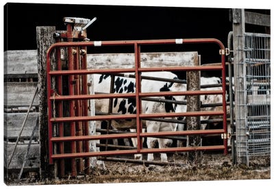Red Gates Canvas Art Print - Modern Farmhouse Décor