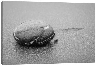 Lone Pebble Canvas Art Print - New Year, New You!