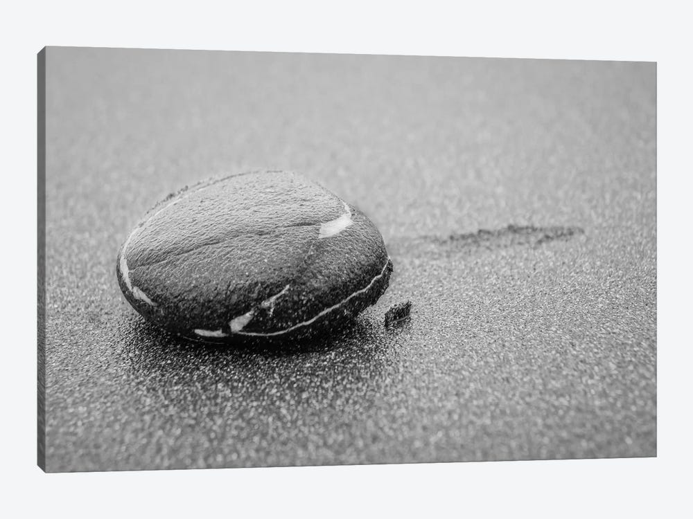 Lone Pebble by Eric Schech 1-piece Canvas Art Print