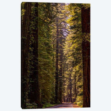 Road Less Traveled Canvas Print #ESC81} by Eric Schech Canvas Print