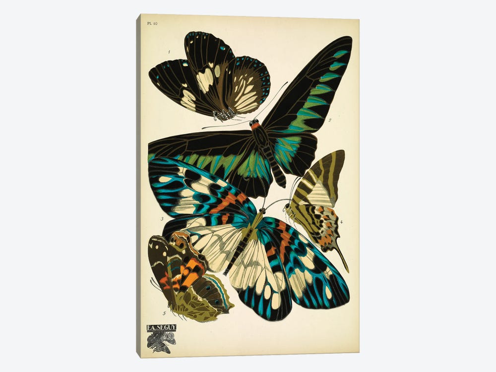 Papillons (Butterflies) X by E.A. Séguy 1-piece Canvas Print