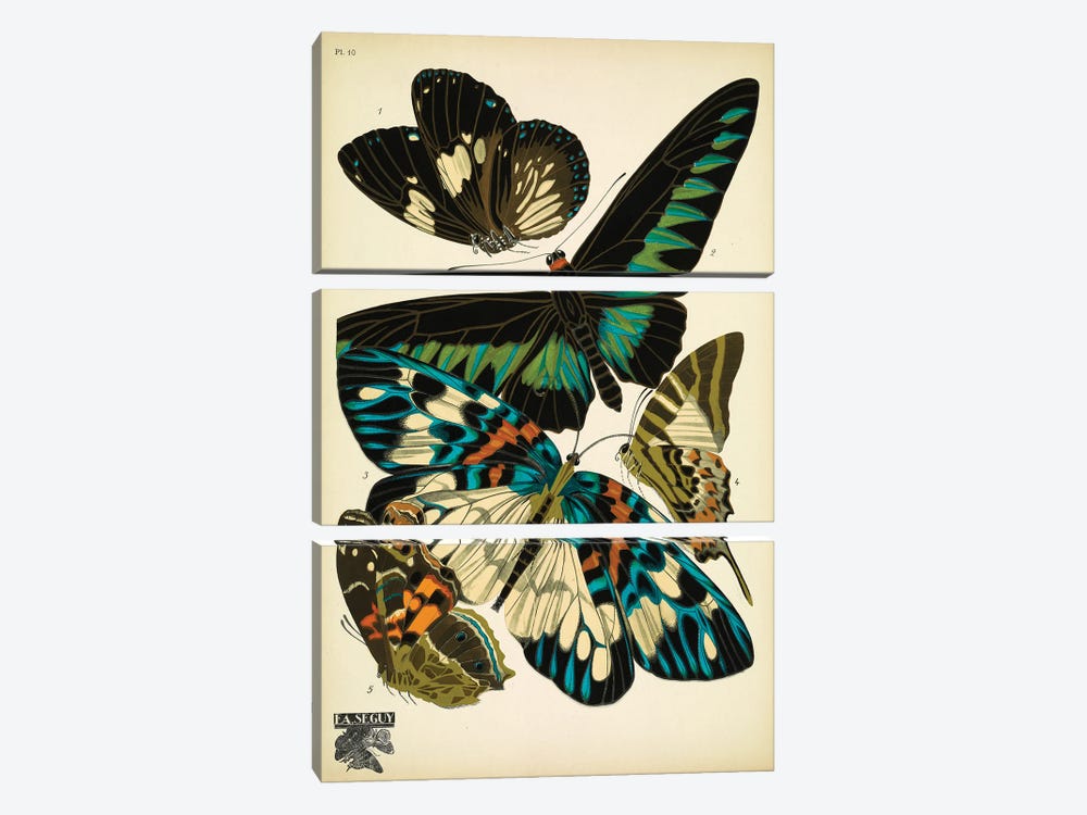 Papillons (Butterflies) X 3-piece Canvas Art Print