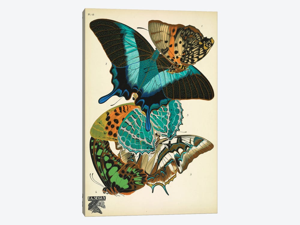 Papillons (Butterflies) XIII 1-piece Canvas Art