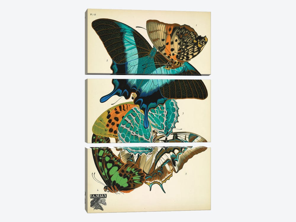 Papillons (Butterflies) XIII 3-piece Canvas Art