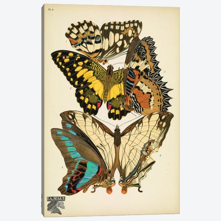 Papillons (Butterflies) IX Canvas Print #ESE5} by E.A. Séguy Canvas Artwork