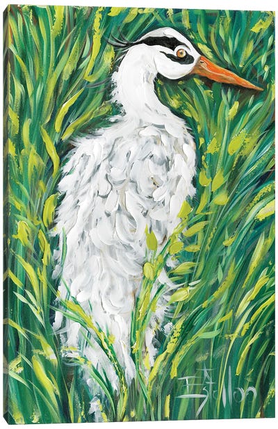 Fluffy White Egret Canvas Art Print - Egret Art