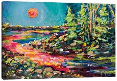 A Magical Night Canvas Art Print - Estelle Grengs