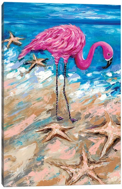 Flamingo of Bonaire Canvas Art Print - Flamingo Art