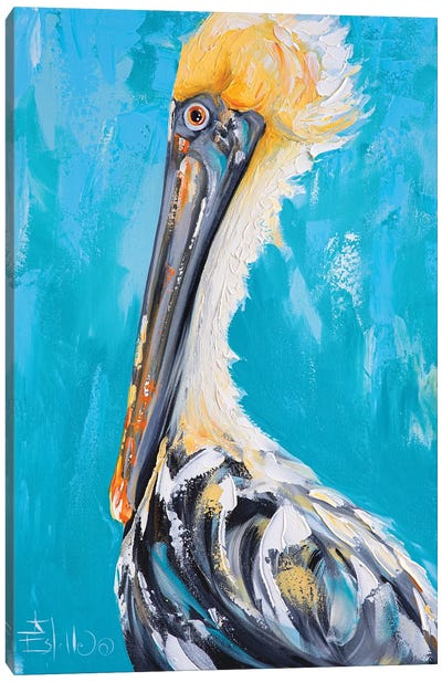 Posh Pelican Canvas Art Print - Pelican Art