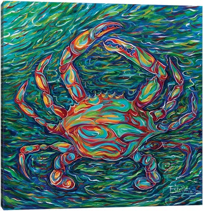 Crab Canvas Art Print - Sea Life Art