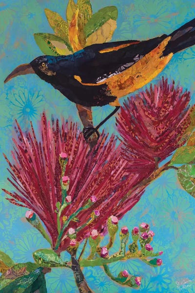 Hawaiian Bird III by Elizabeth St. Hilaire acrylic art print
