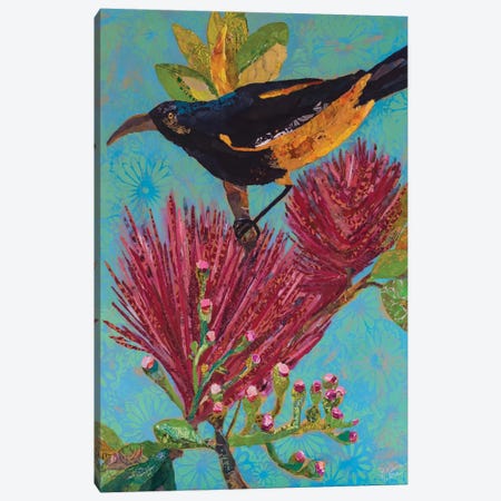 Hawaiian Bird III Canvas Print #ESH25} by Elizabeth St. Hilaire Canvas Art Print