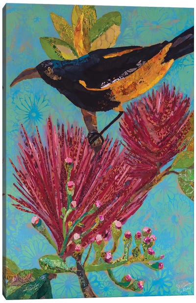 Hawaiian Bird III Canvas Art Print