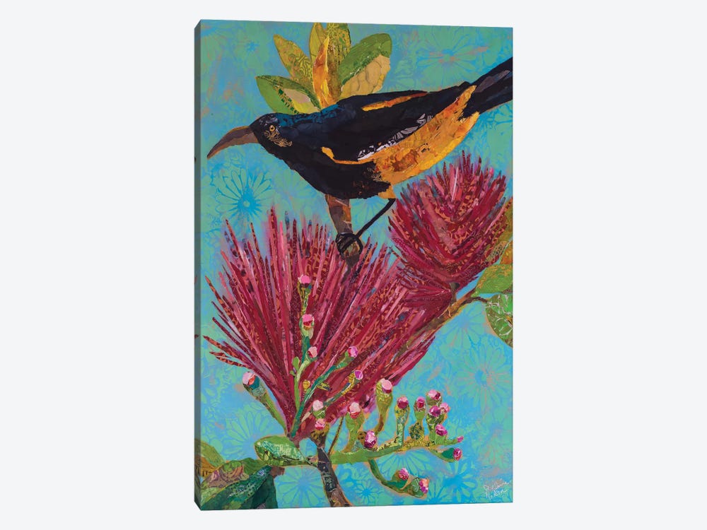 Hawaiian Bird III by Elizabeth St. Hilaire 1-piece Canvas Wall Art