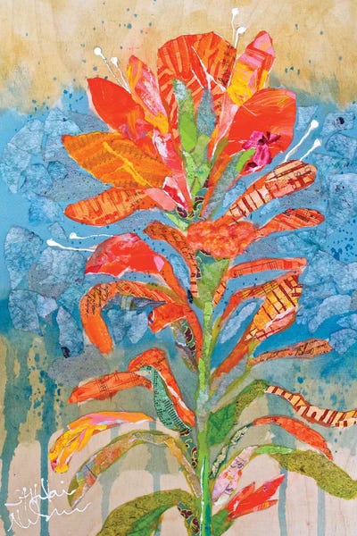 Indian Paintbrush Collage I by Elizabeth St. Hilaire acrylic art print