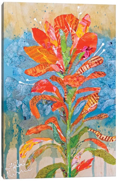 Indian Paintbrush Collage I Canvas Art Print