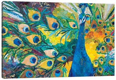 Percy Peacock I Canvas Art Print