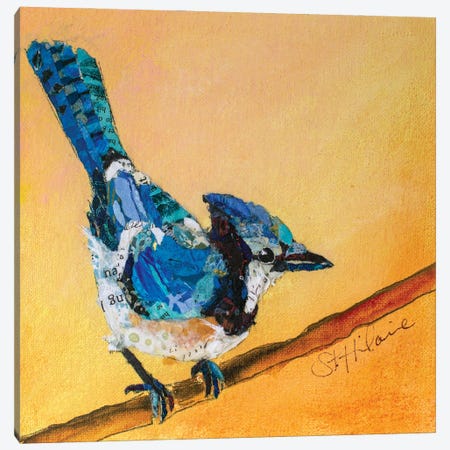 Blue Jay Blessing Canvas Print #ESH76} by Elizabeth St. Hilaire Canvas Wall Art