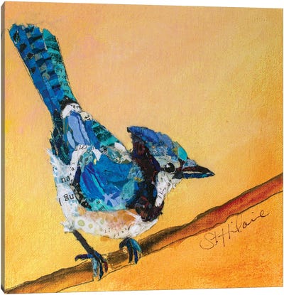 Blue Jay Blessing Canvas Art Print