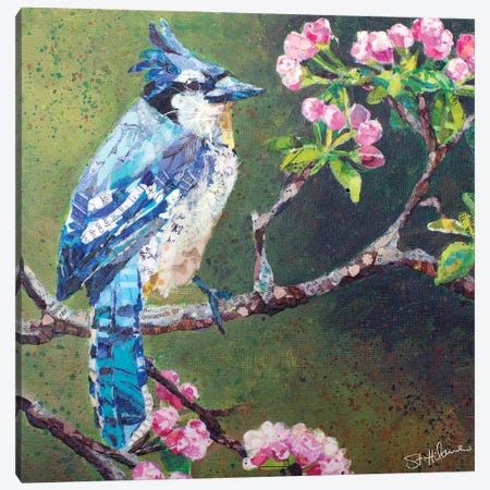 Blue Jay On Apple Blossoms Canvas Print #ESH86} by Elizabeth St. Hilaire Canvas Print