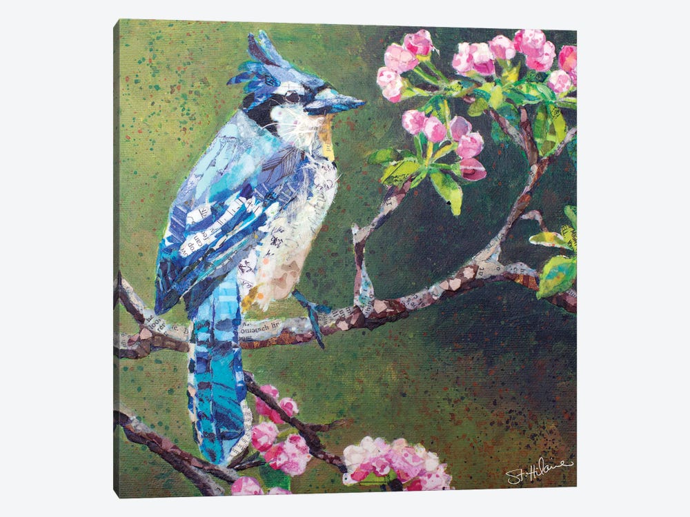 Blue Jay On Apple Blossoms by Elizabeth St. Hilaire 1-piece Canvas Art Print
