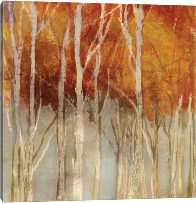 Belgium Forest I Canvas Art Print - Edward Selkirk