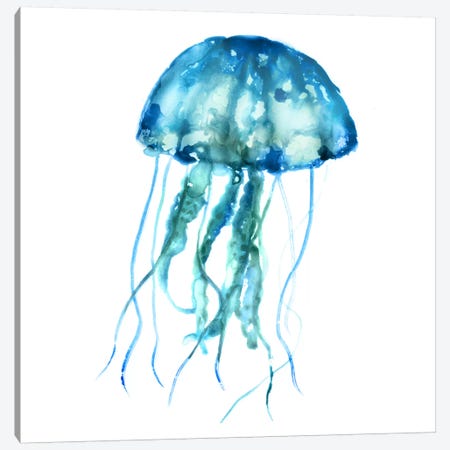 Jellyfish Canvas Print #ESK129} by Edward Selkirk Canvas Wall Art