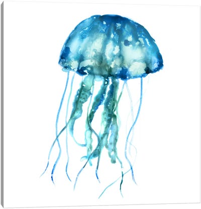 Jellyfish Canvas Art Print - Edward Selkirk