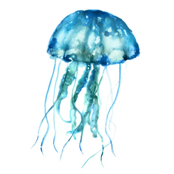 Edward Selkirk: Jellyfish by Edward Selkirk