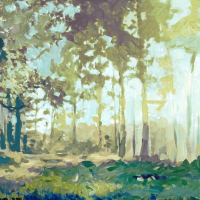 Bellewoods by Edward Selkirk canvas print