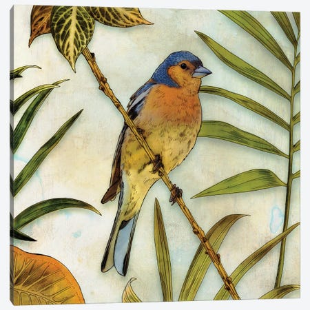 Jungle Bird II Canvas Print #ESK133} by Edward Selkirk Canvas Print