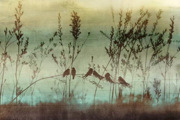 Edward Selkirk: Louisianna by Edward Selkirk