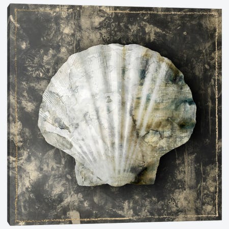 Marble Shell Series IV Canvas Print #ESK154} by Edward Selkirk Canvas Artwork