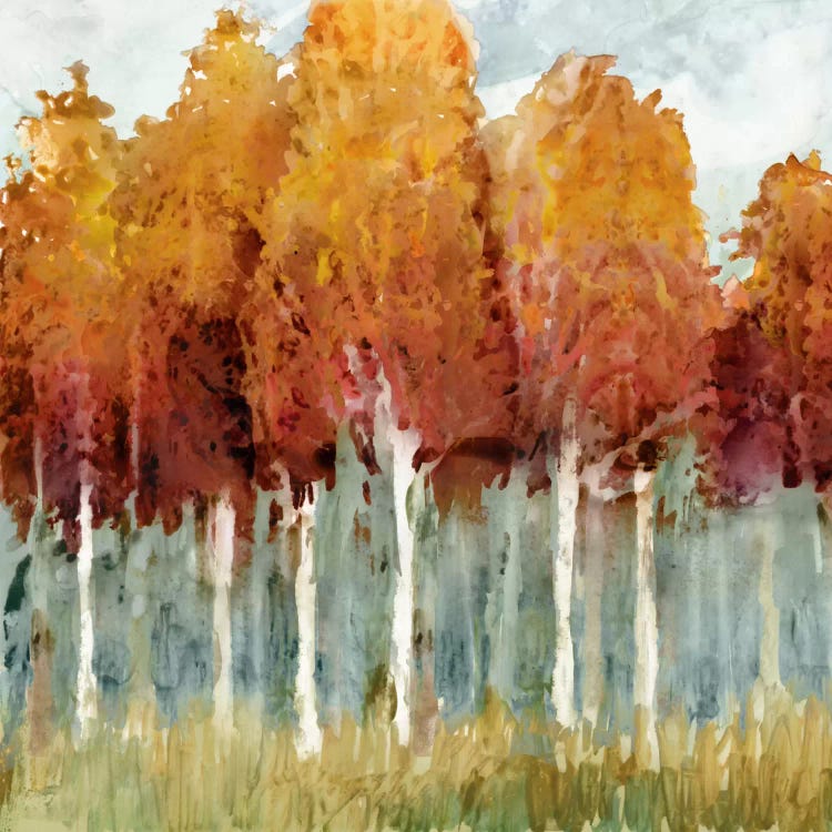 Birch I by Edward Selkirk wall art