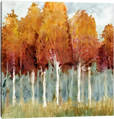 Birch I Canvas Art Print - Edward Selkirk