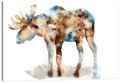 Moose Canvas Art Print - Edward Selkirk