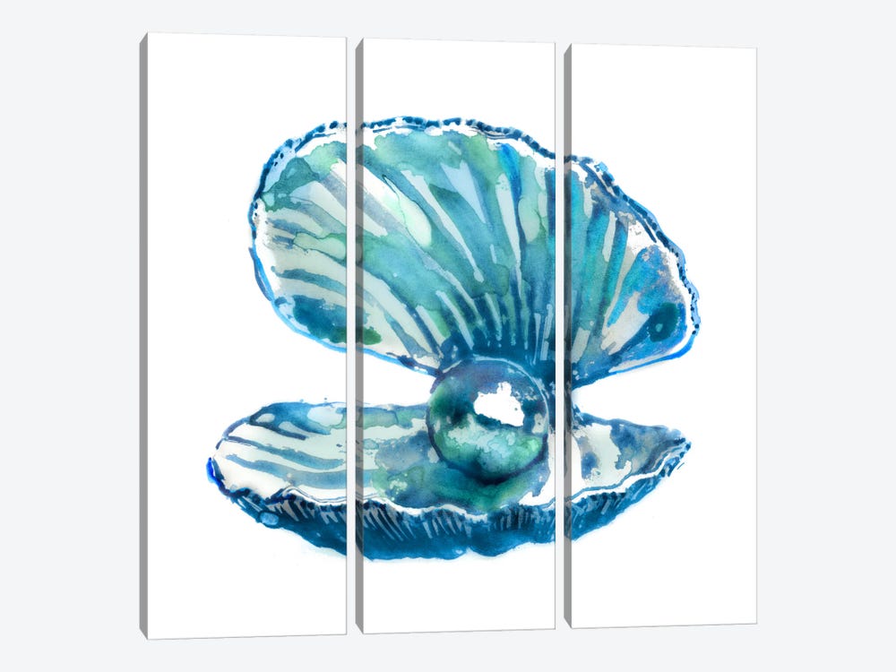 Oyster by Edward Selkirk 3-piece Canvas Artwork