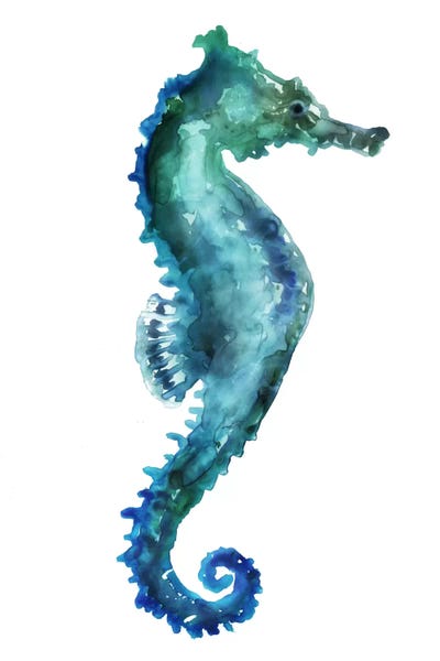 Sea Life: Sea Horse by Edward Selkirk