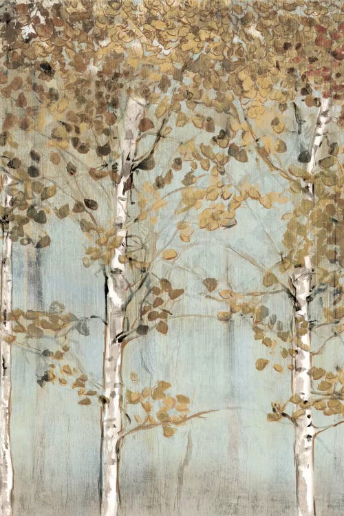 Soft Birch by Edward Selkirk wall art