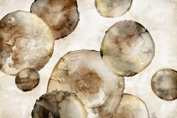 Edward Selkirk: Tree Rings by Edward Selkirk