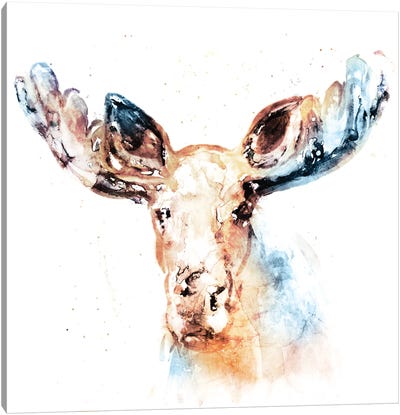 Watercolour Moose Canvas Art Print