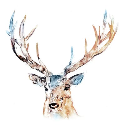 Watercolour Reindeer Canvas Wall Art By Edward Selkirk | Icanvas