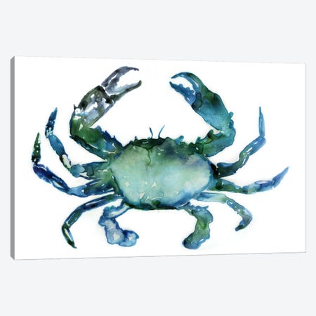 Crab Canvas Print #ESK41} by Edward Selkirk Art Print