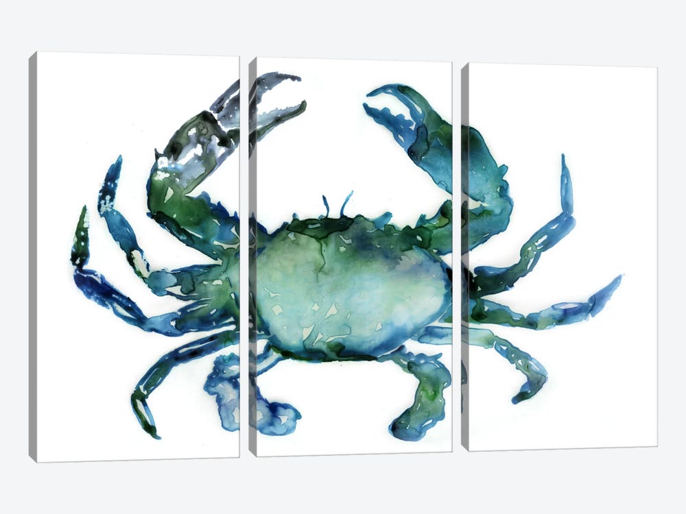 Crab by Edward Selkirk 3-piece Canvas Art