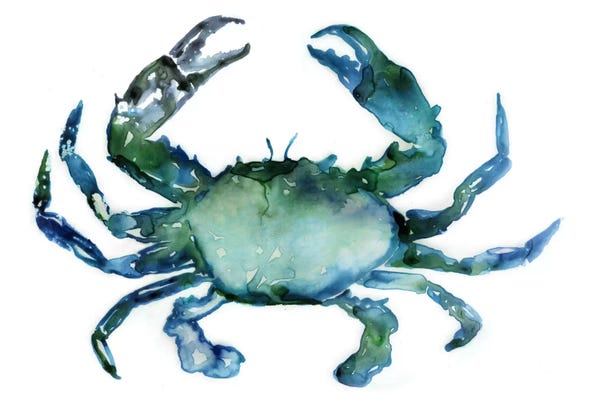 Crabs: Crab by Edward Selkirk