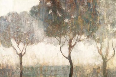 Dawn by Edward Selkirk canvas print