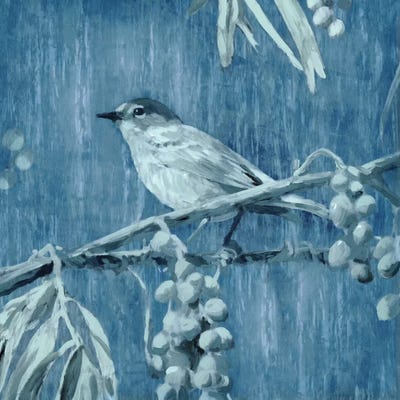 Denim Songbird I by Edward Selkirk canvas print