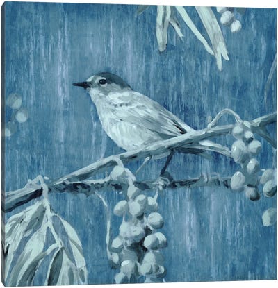 Denim Songbird I Canvas Art Print