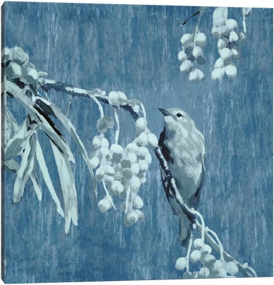 Denim Songbird II Canvas Art Print